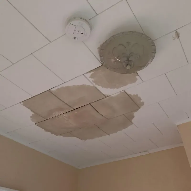 Ceiling Water Damage Repair in Rolla, MO