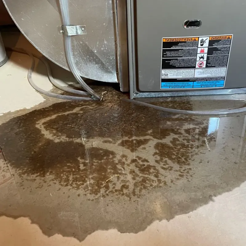 Pipe Burst and Leak Restoration in Rolla, MO