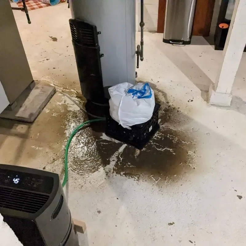 Sewage Backup Cleanup Service in Rolla, MO